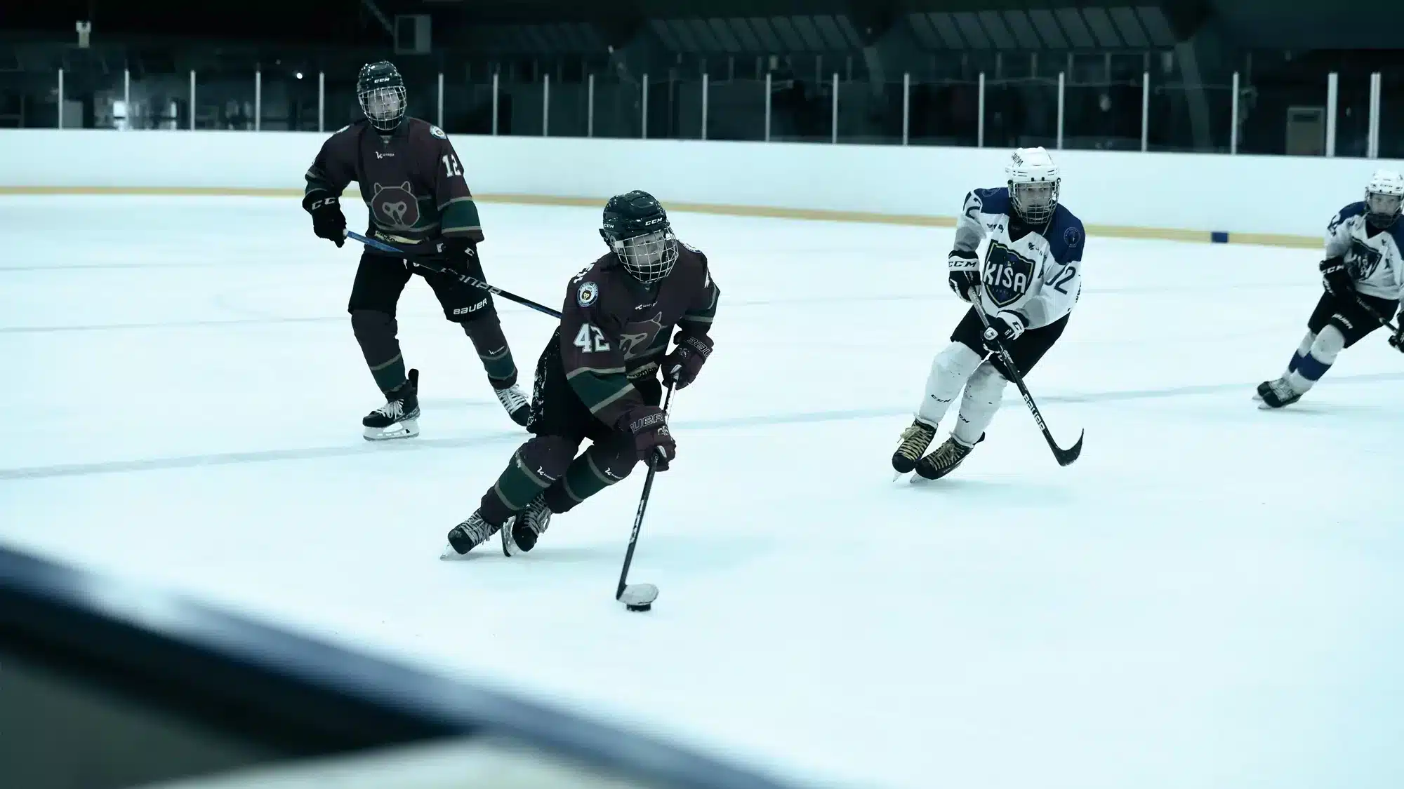 VePe IcePro X-SERIEN